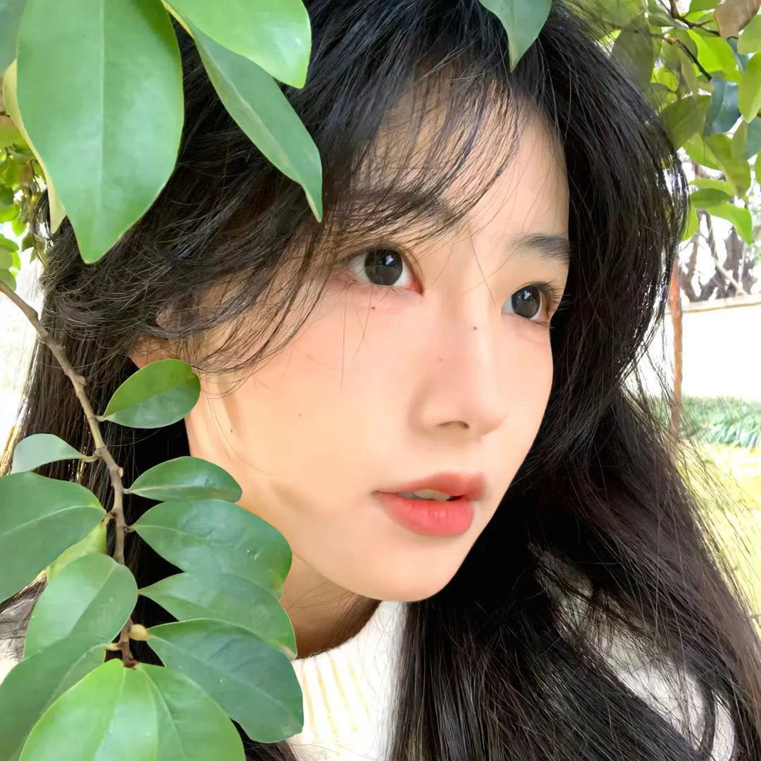 加油！同期酱