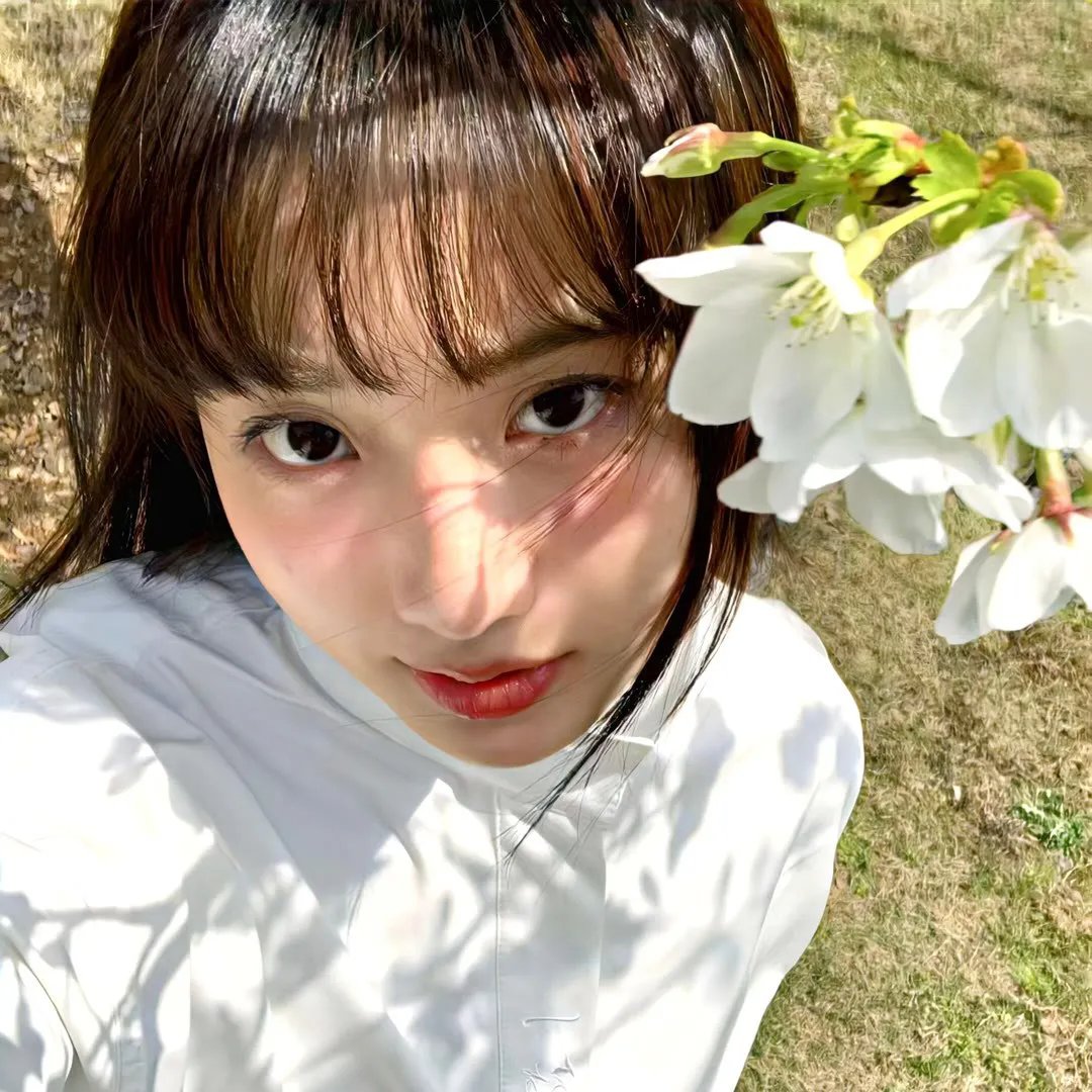 肥佬教授2